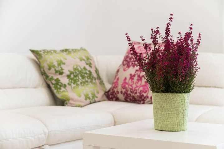 شقة Mediterranean House نيتّونو المظهر الخارجي الصورة